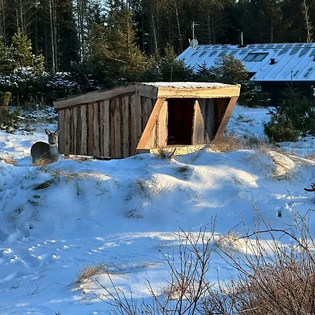 Grass-roofed Timber House Near And Blokhus * Løkken